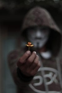 cybersecurity represented by masked man holding flower